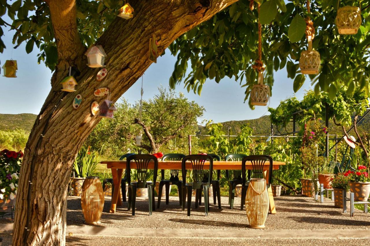 Ktima Mimoza Apartment ซีเกีย ภายนอก รูปภาพ